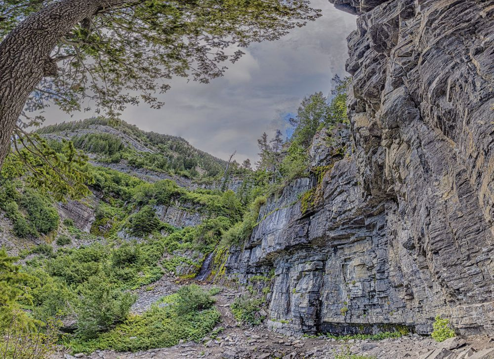 Scout Falls