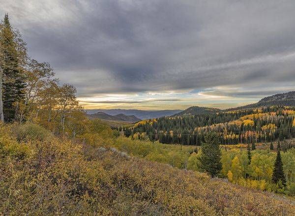 Autumn_at_Guardsman Pass