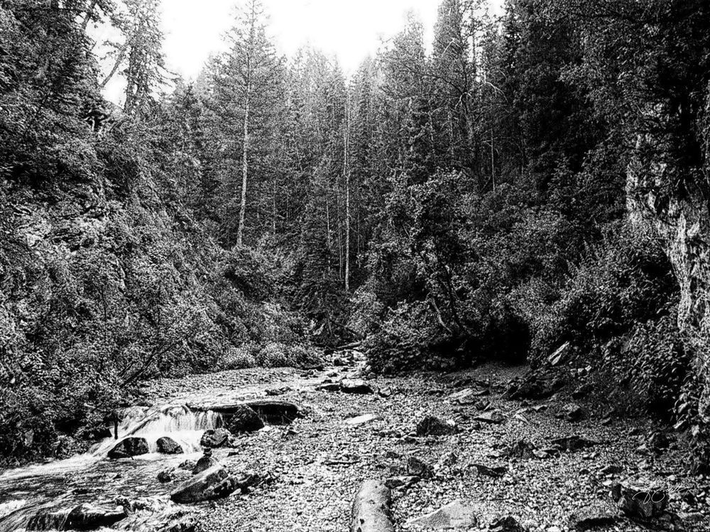 Serene Cascade Photography Art | J everett Photography