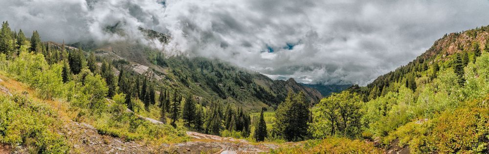 September Fog Photography Art | J everett Photography