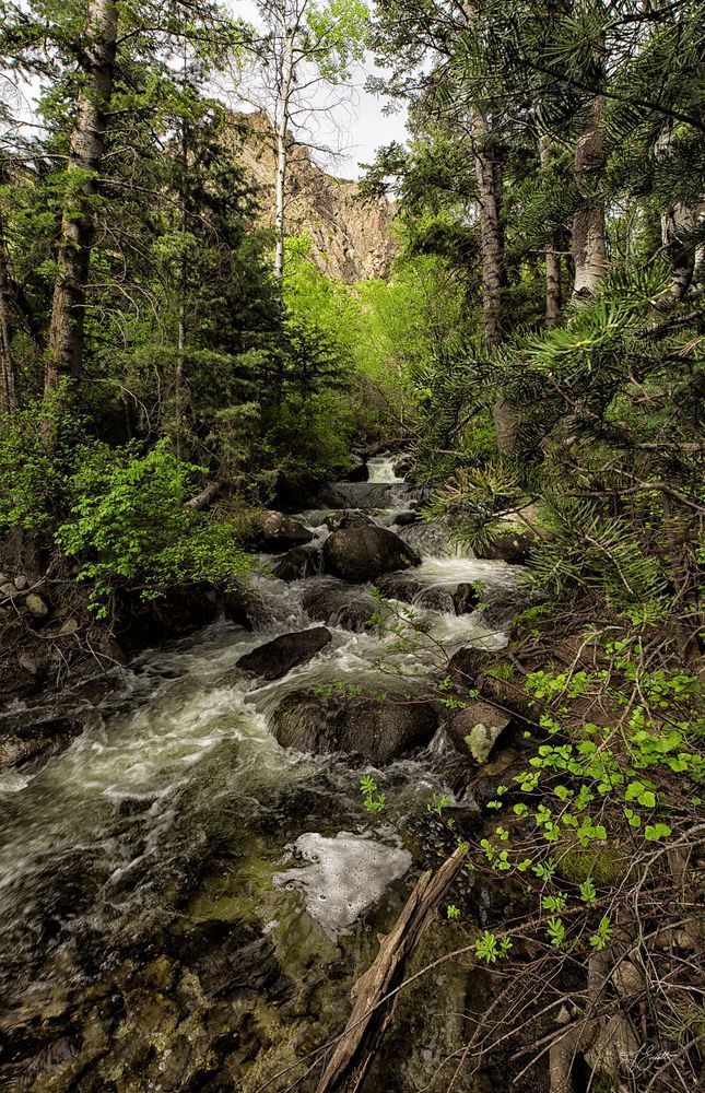 Scenic Stream Photography Art | J everett Photography