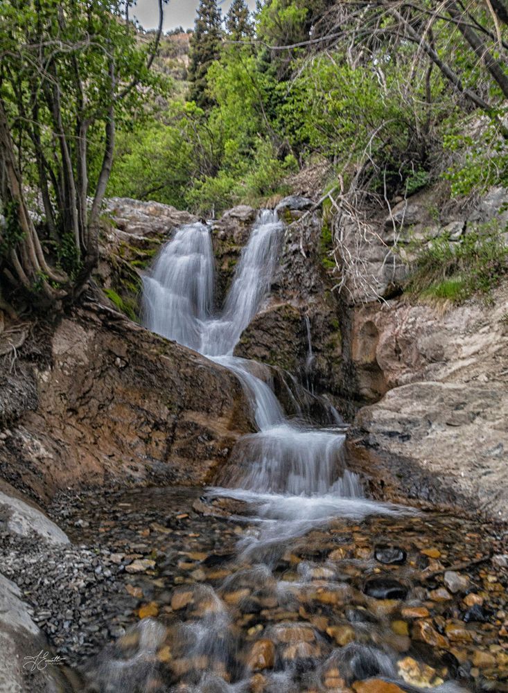 Title: Rushing Heart – Battle Creek Tributary