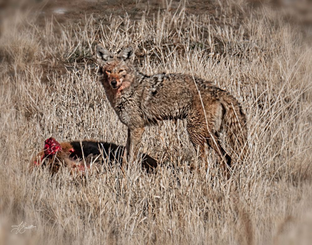 Circle Of Survival Photography Art | J everett Photography