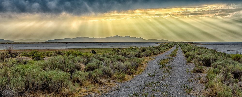Audobon Rays Photography Art | J everett Photography