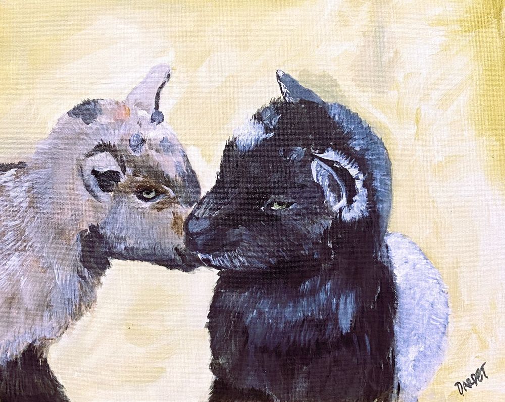 Mdawmdawmdawmdaw7qgraepd6cacehr zcfbfywxu2fyveayeunrgwctqqqltnerwweter6yomfiojy24adow ljj7f22f2vd2s3k0fn 38ezqodftc2xeuhdjufahdziomokxodj3hs jg da6ji5eudq olwagpj5emn5adx luf  fli1fxxw8twpwhuzlv4mqt1wufowhq9n0j9r3eseqe039askrqgrlz1iykeeepowtaeksfovc7x 4twlegzozvq3f5zutfelxzfvenpvstevtixu3o35xyfsvpxajcddcq4hslaei2ok0g