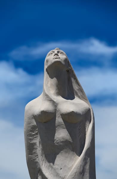 Skyward Gaze