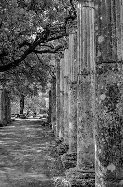 Olympia Greece Columns BW