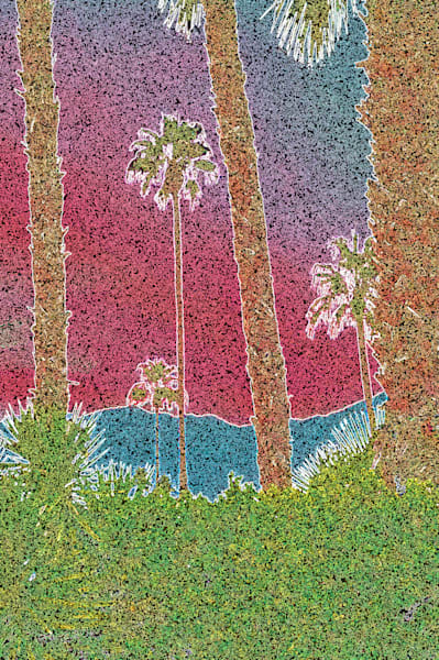 Palm Springs Dreams