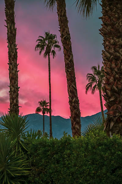 Desert Sunset in Palm Springs