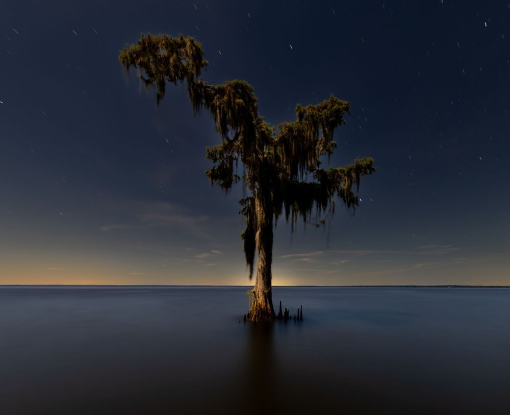 Lone Cypress Photography Art | Russell Satterthwaite inc.