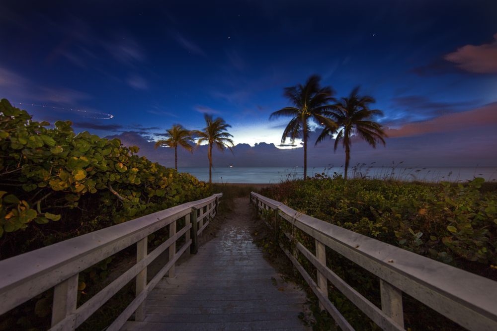 Beach Path Art | Russell Satterthwaite inc.
