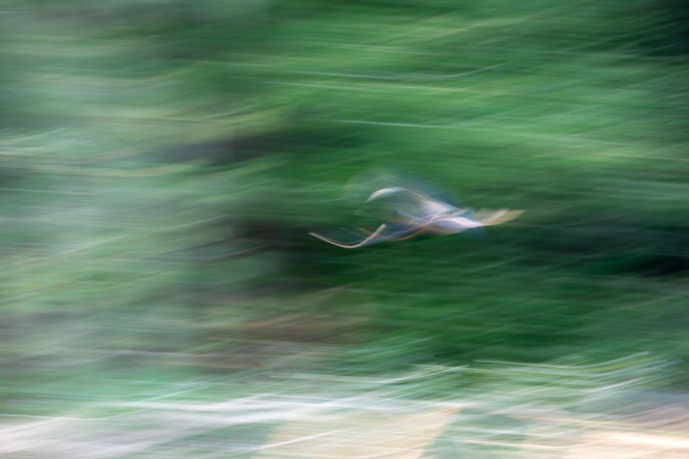 Icm 09 Art | Russell Satterthwaite inc.