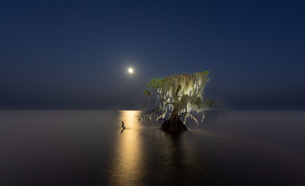 Stumpy Full Moon 02 Art | Russell Satterthwaite inc.