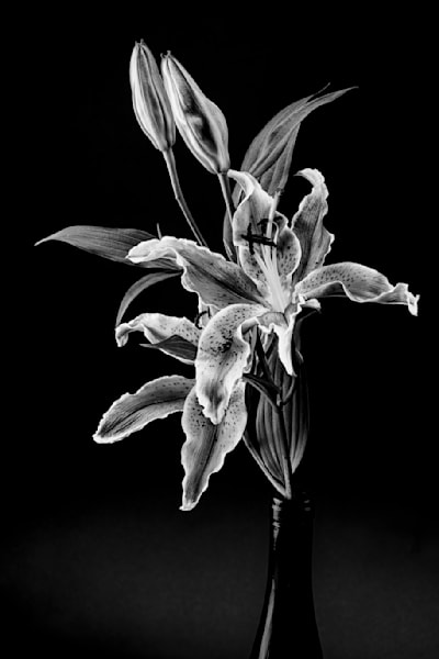 14 Photography Art | Frank R Daniels Photography 