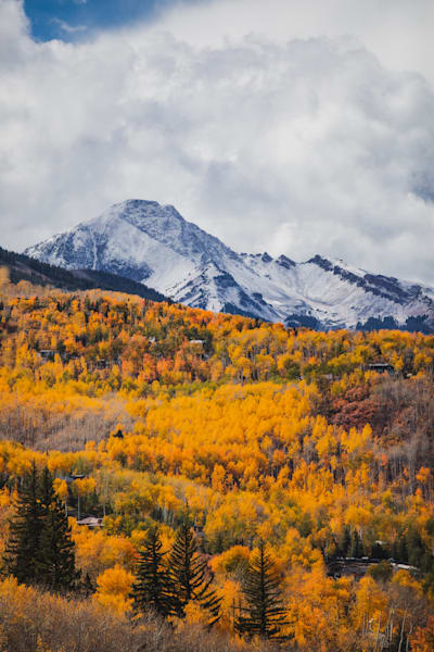 Fresh Coat On Daly Photography Art | Tamara Susa Photography