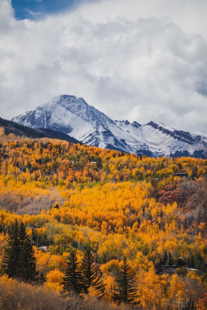Fresh Coat On Daly Photography Art | Tamara Susa Photography