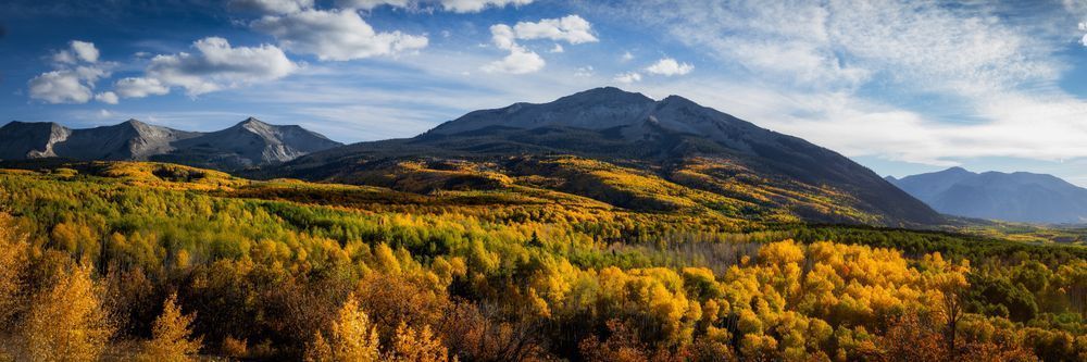 Kebler Pass Photography Art | Tamara Susa Photography