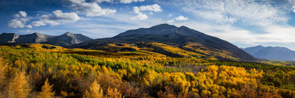 Kebler Pass Photography Art | Tamara Susa Photography