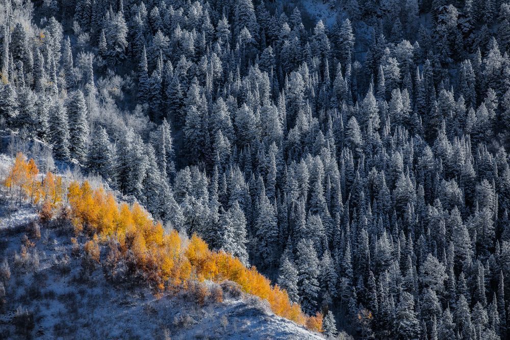 Golden Divide – Colorado Fall Meets Winter Fine Art Print