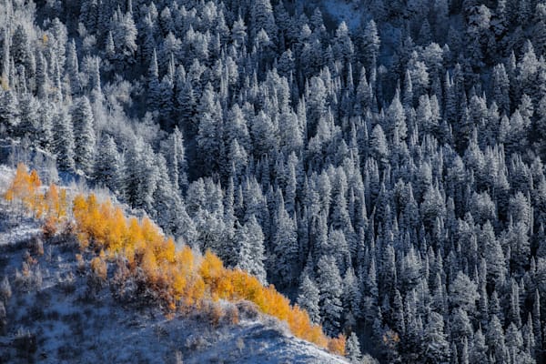 Golden Divide – Colorado Fall Meets Winter Fine Art Print