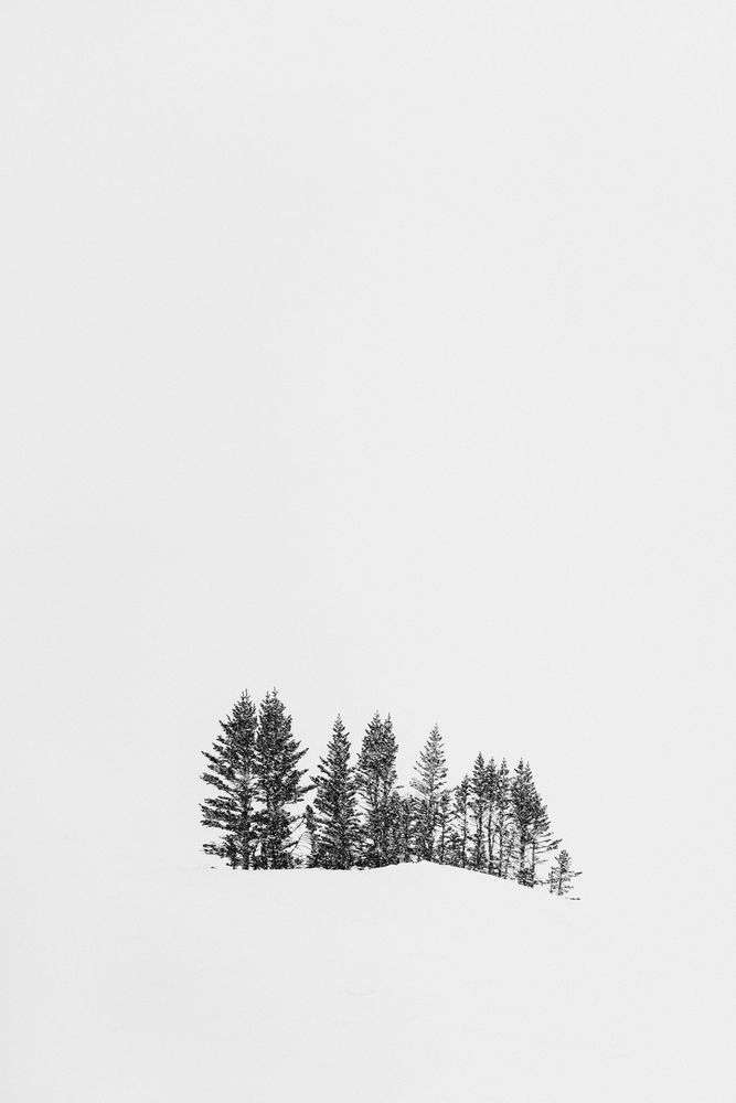 Island Photography Art | Tamara Susa Photography
