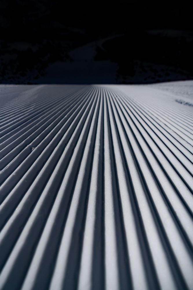 Perfect Corduroy Photography Art | Tamara Susa Photography