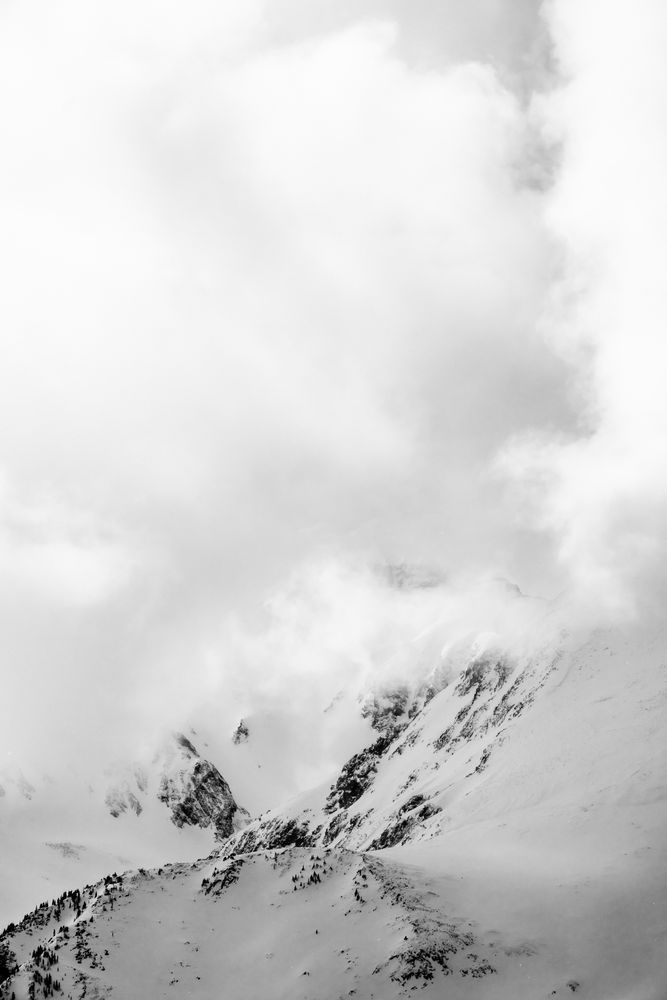 Whiteout Photography Art | Tamara Susa Photography