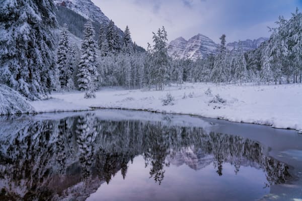 Maron Reflection