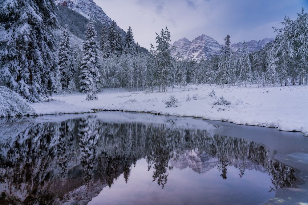 Maron Reflection