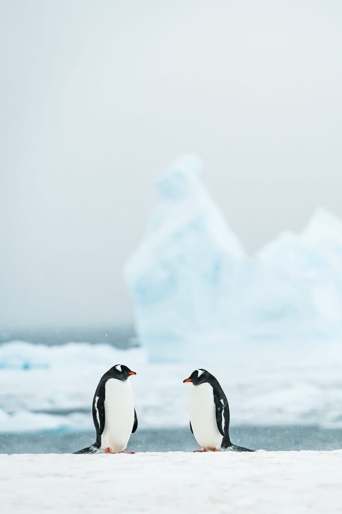 Chatting Away