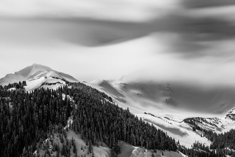 Blurred Lines Photography Art | Tamara Susa Photography