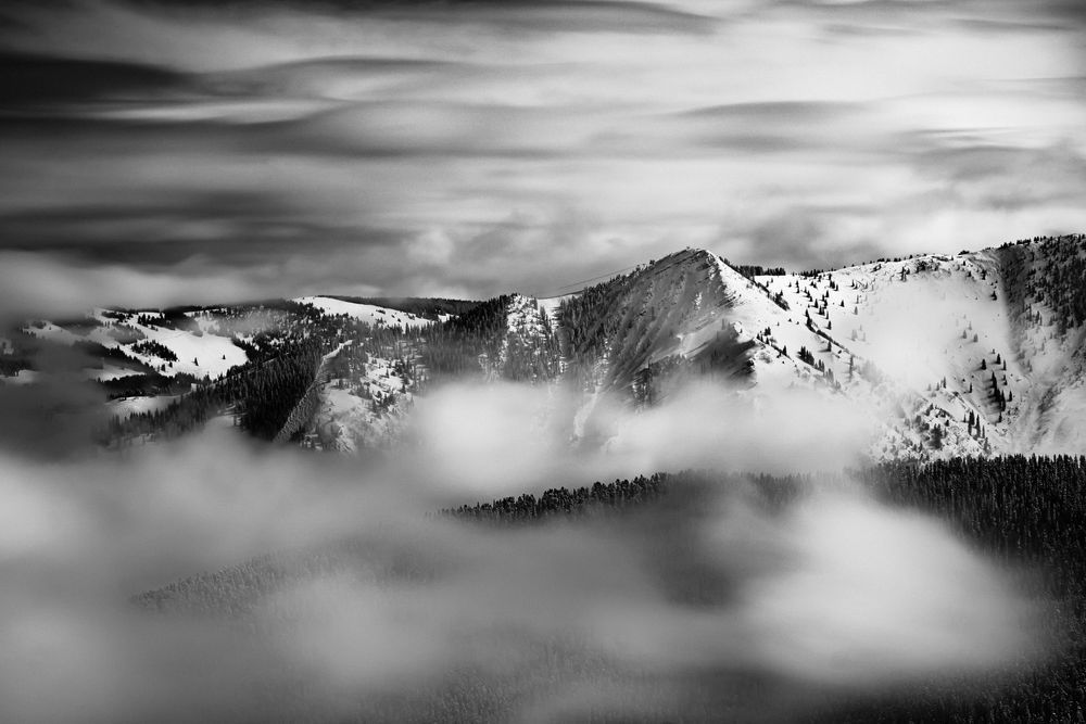 Inversion Photography Art | Tamara Susa Photography