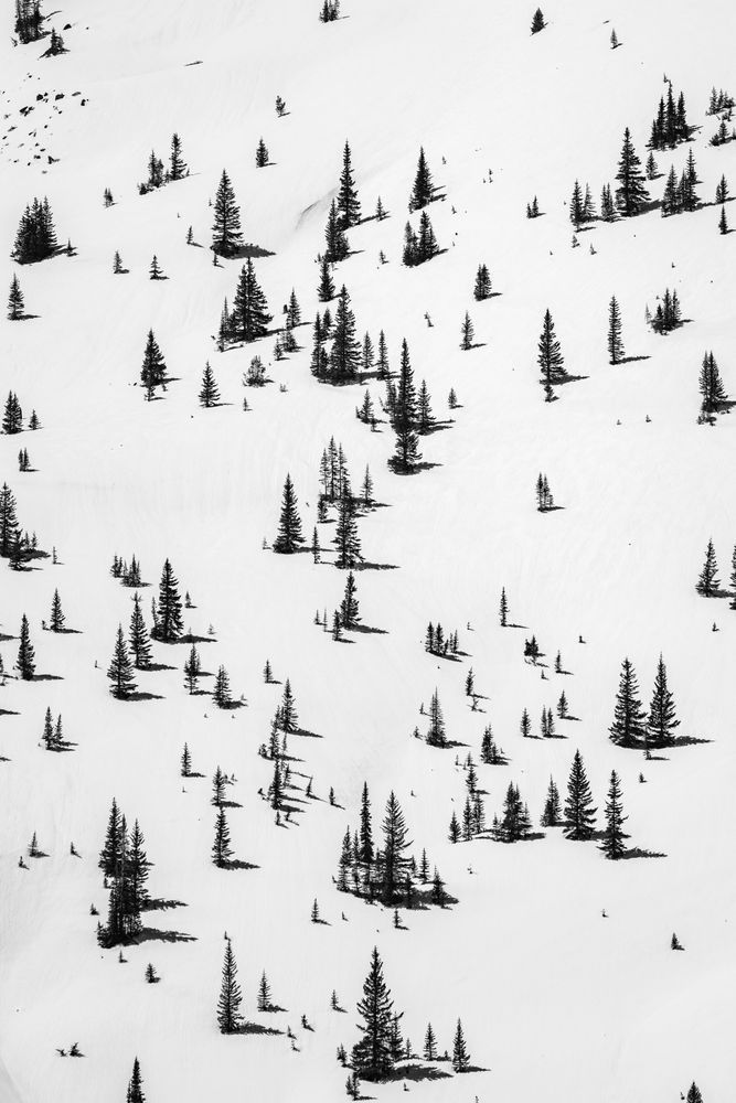 Simplicity Photography Art | Tamara Susa Photography