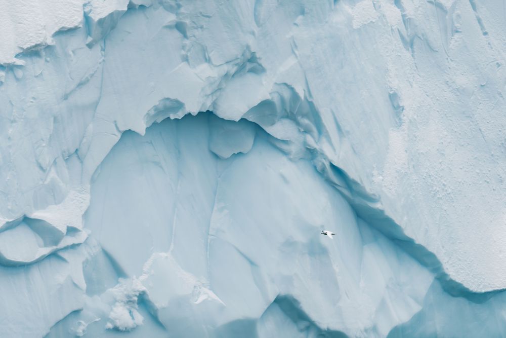Memory in Ice