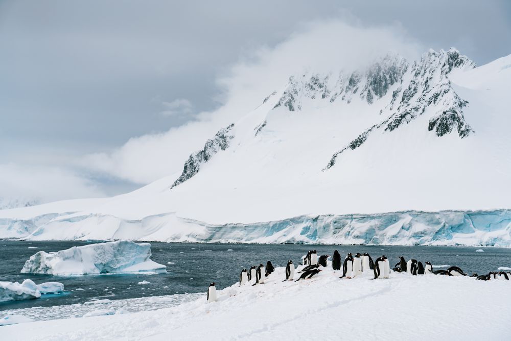 Antarctica: Damoy Point #2 Photography Art | Tamara Susa Photography