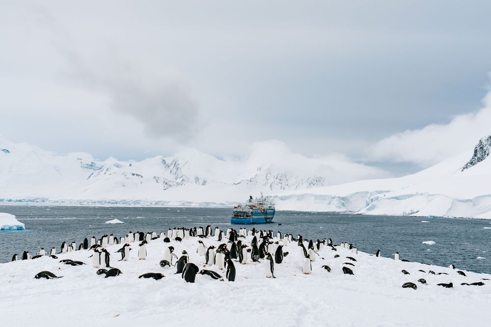 Antarctica: Damoy Point #5 Photography Art | Tamara Susa Photography
