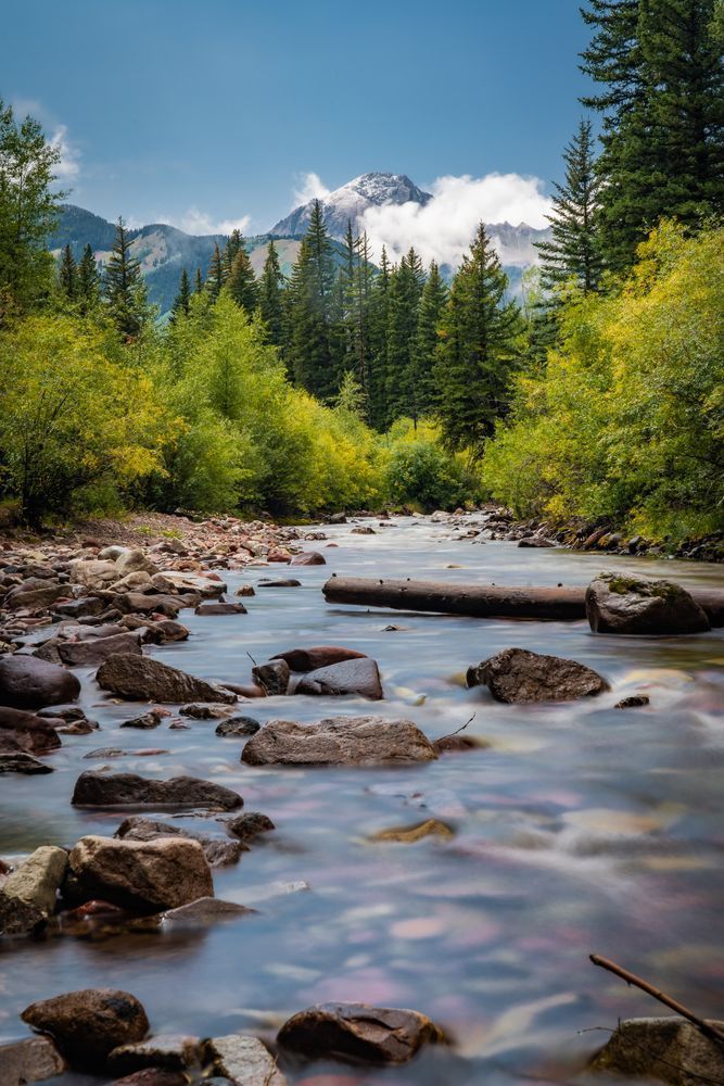 Whispers of the Creek – Snowmass Creek Fine Art Print | Colorado Nature Photography