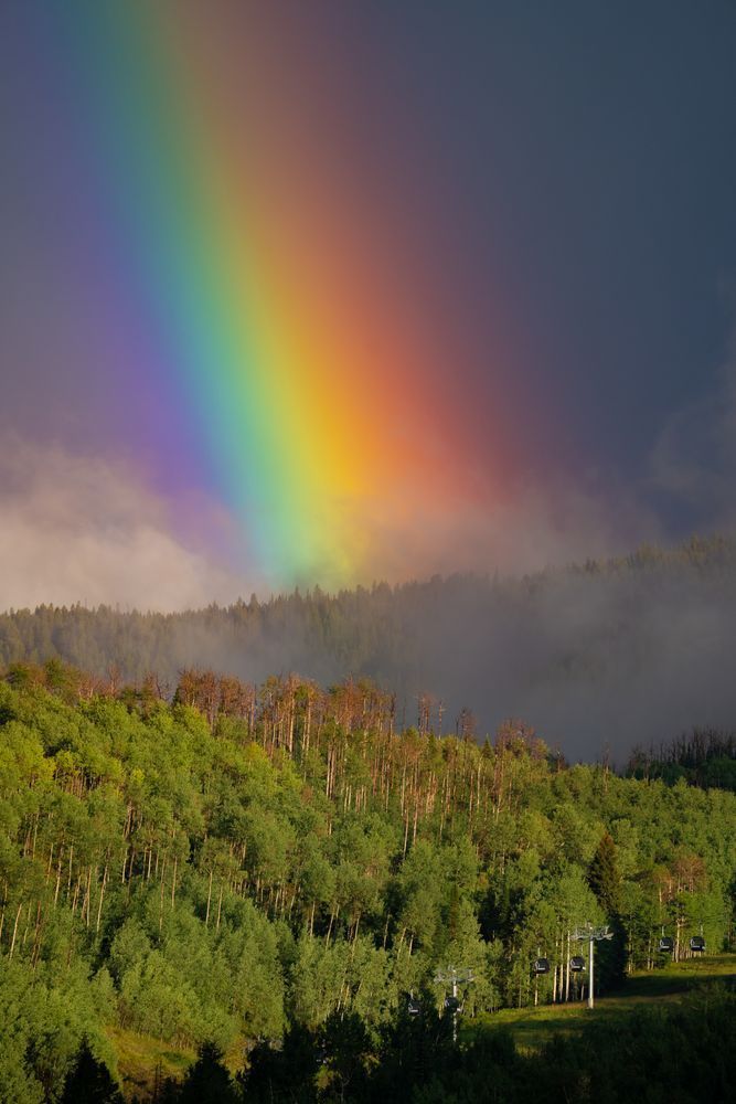 Where the Rainbow Falls – Aspen Forest with Rainbow Fine Art Print