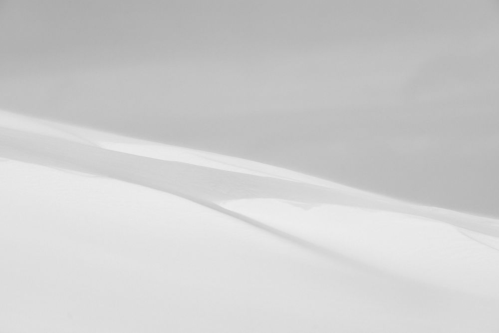 Cornice Photography Art | Tamara Susa Photography