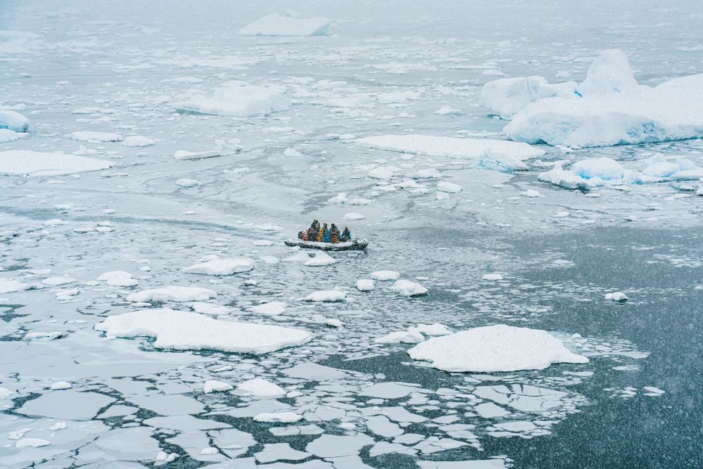 Antarctica: Enterprise Island #10 Photography Art | Tamara Susa Photography