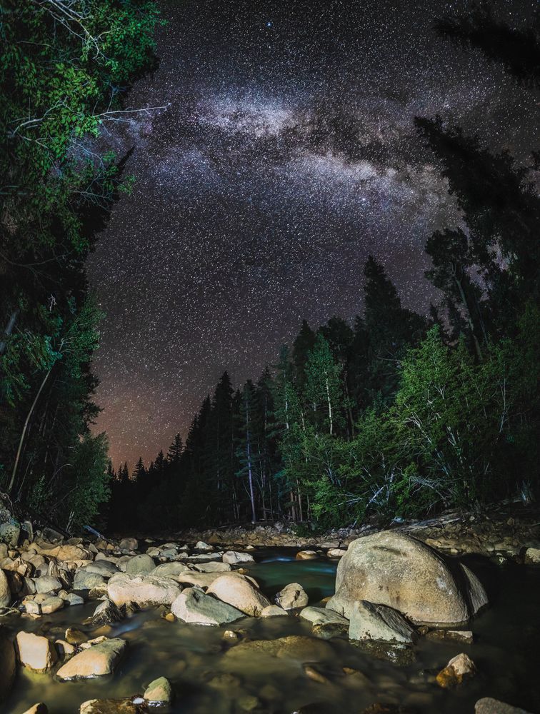 Down By The River Photography Art | Tamara Susa Photography