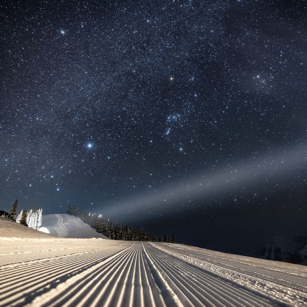 Moonlit Corduroy Photography Art | Tamara Susa Photography