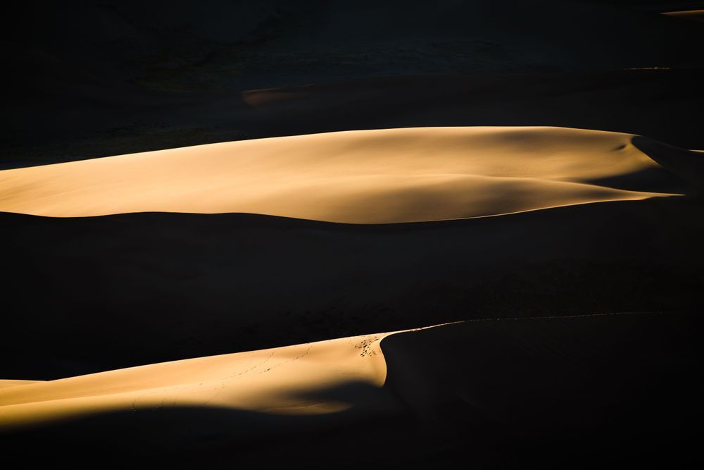 Shadow And Light Photography Art | Tamara Susa Photography