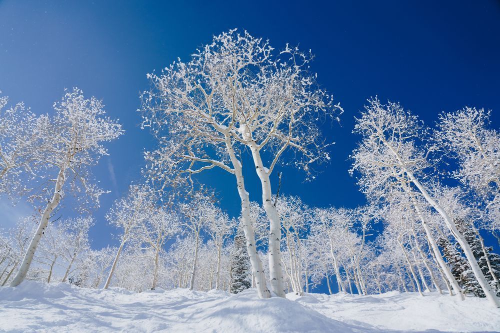 Aspen Mountain Dumps Photography Art | Tamara Susa Photography