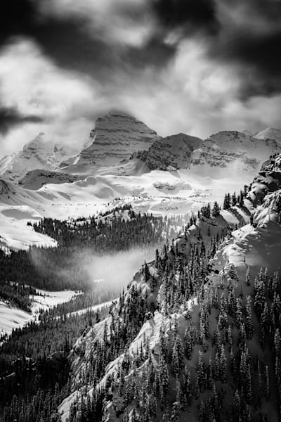 Elk Camp Views Photography Art | Tamara Susa Photography
