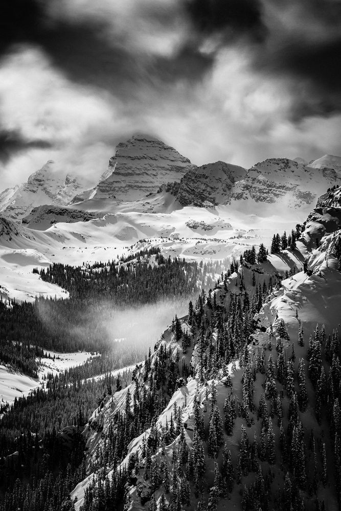 Elk Camp Views Photography Art | Tamara Susa Photography