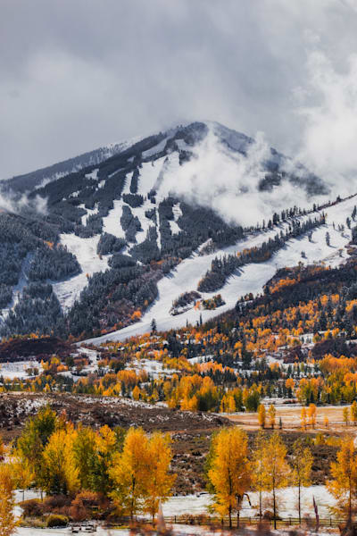 Snowy Fall Photography Art | Tamara Susa Photography