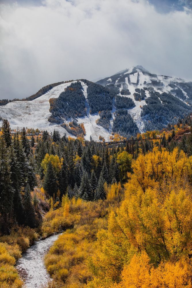 Highlands In The Fall Photography Art | Tamara Susa Photography