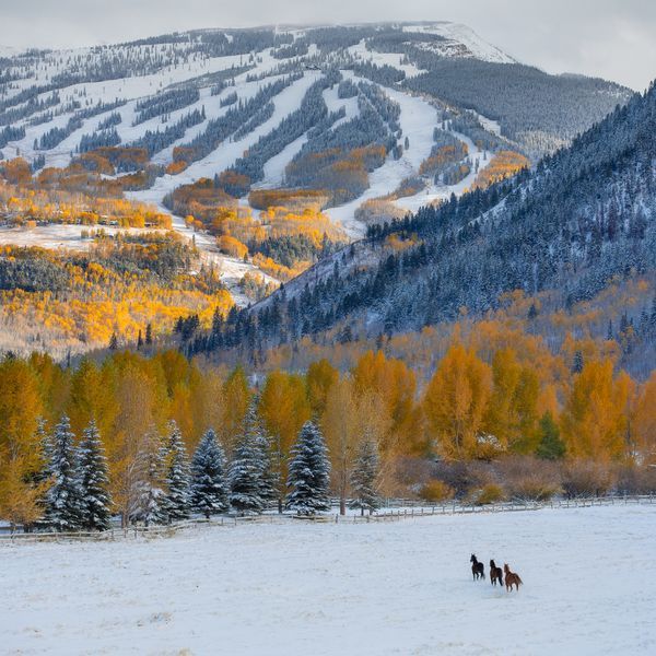 Four Seasons in Snowmass