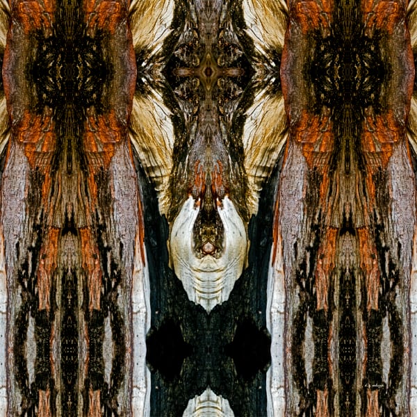 Elemental Reflections